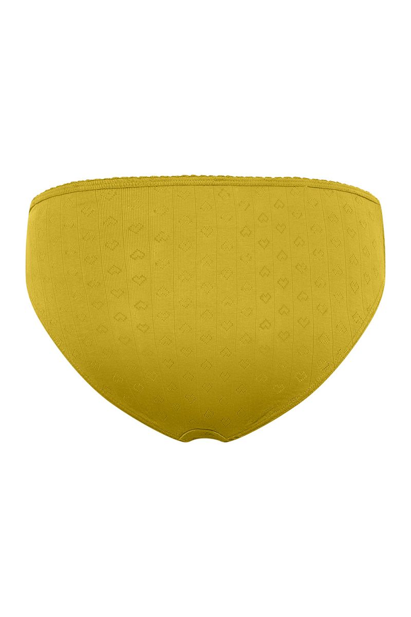 PUAA Briefs